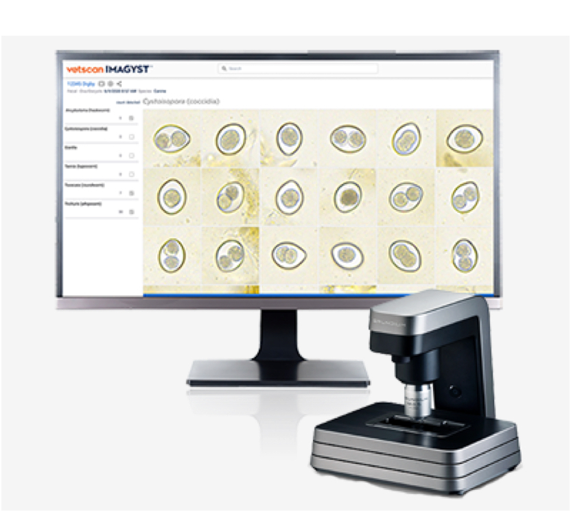 Diagnostics | Zoetis